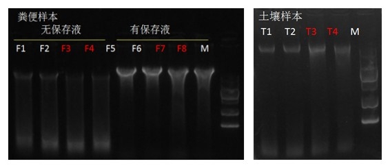 1-2012251101032U 1-2012251101032U