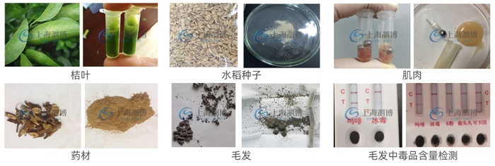 1-201225105552V7 1-201225105552V7