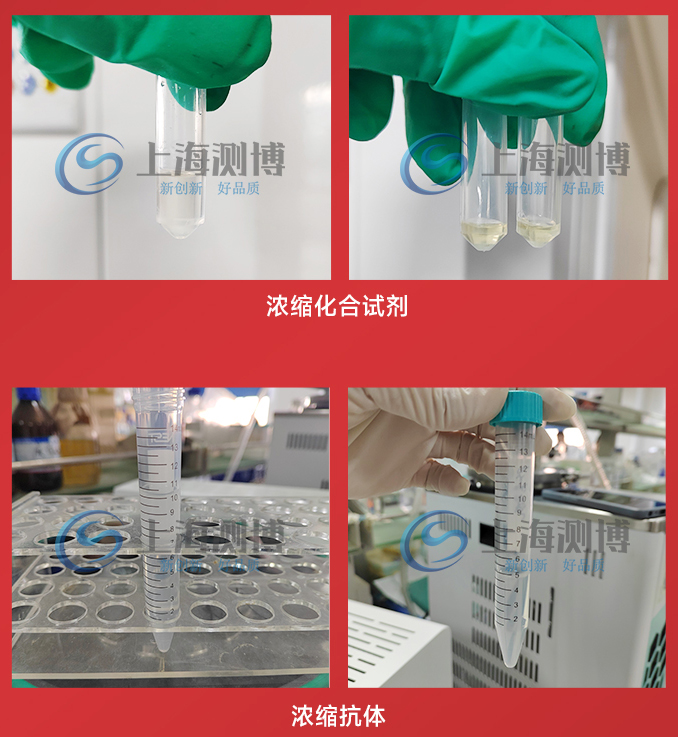 CBNSY-真空離心濃縮儀-測(cè)博_11 CBNSY-真空離心濃縮儀-測(cè)博_11