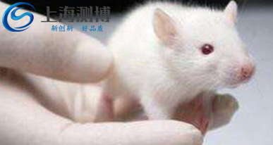 采用全自動冷凍研磨儀研究DNA損傷應(yīng)激發(fā)應(yīng)、衰老以及腫瘤發(fā)生